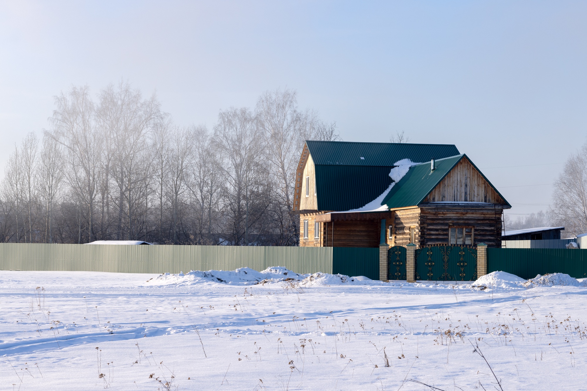 A lonely wooden house with a green roof in winter. Birch forest. Snow field